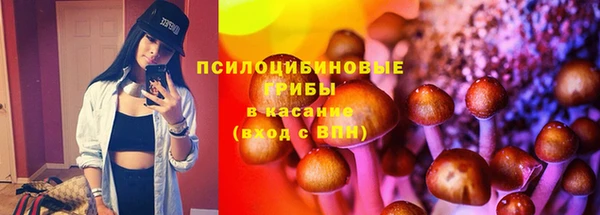 ECSTASY Мегион