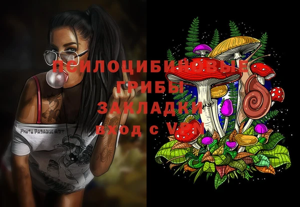 наркотики Медвежьегорск