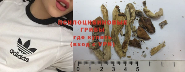наркотики Медвежьегорск