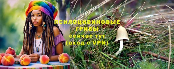 ECSTASY Медногорск
