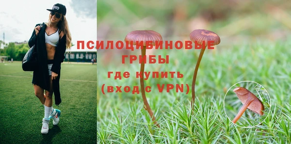 ECSTASY Мегион