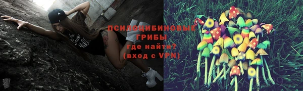 наркотики Медвежьегорск